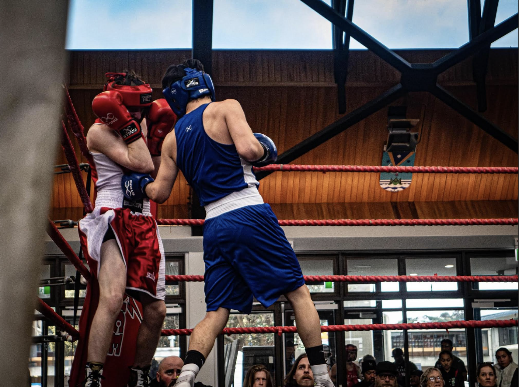 Boxers competing in the ring